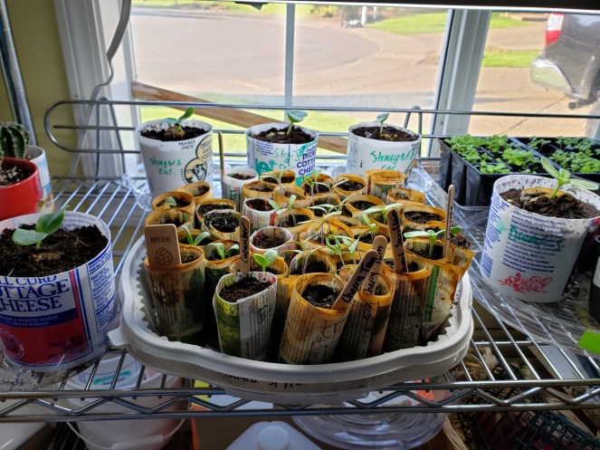 This image has an empty alt attribute; its file name is 20200322_093846.jpg