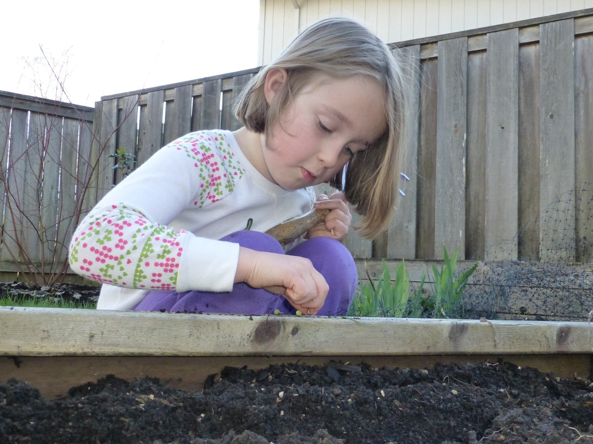 March Calendar to Get You Ready for&nbsp;Spring