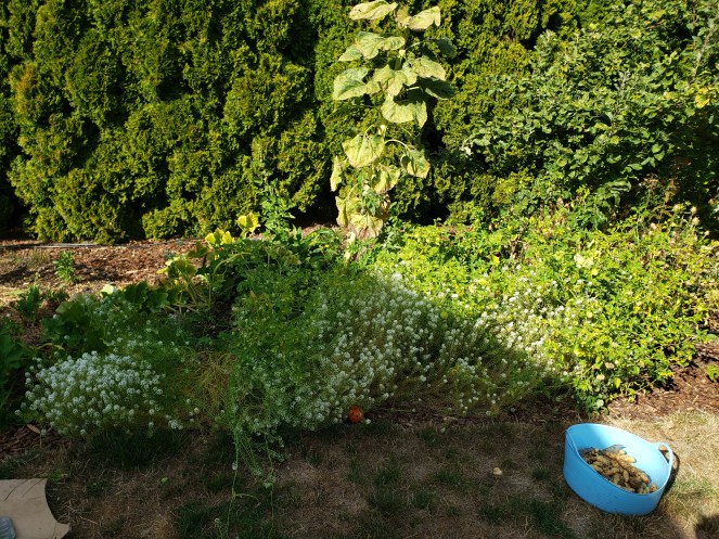 East In-Ground Garden Bed