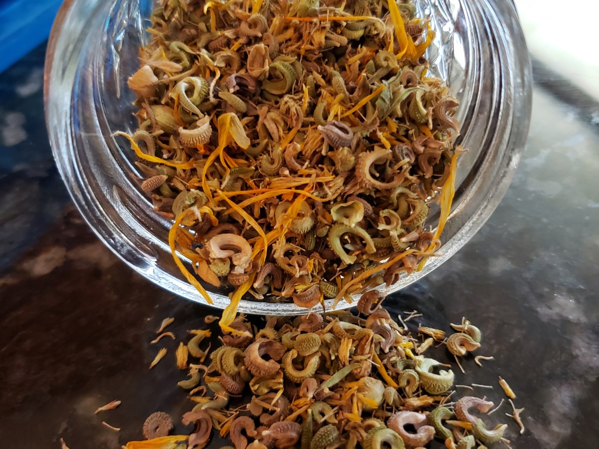 Free Seeds! A Primer for Saving Seeds from/ Your&nbsp;Garden