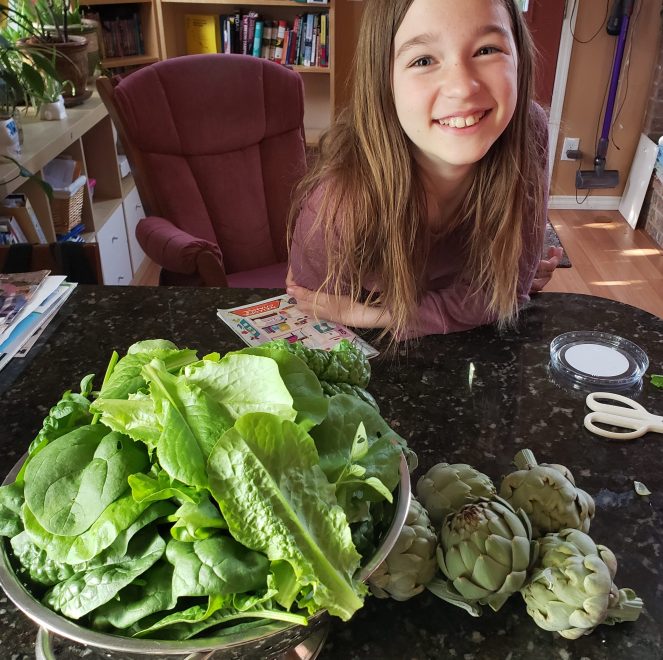 Gabi's Greens and Artichoke Harvest