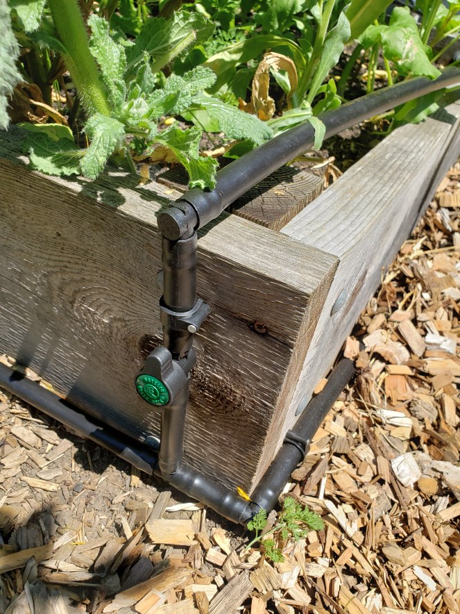 1/2 inch distribution tubing with valve for raised bed.