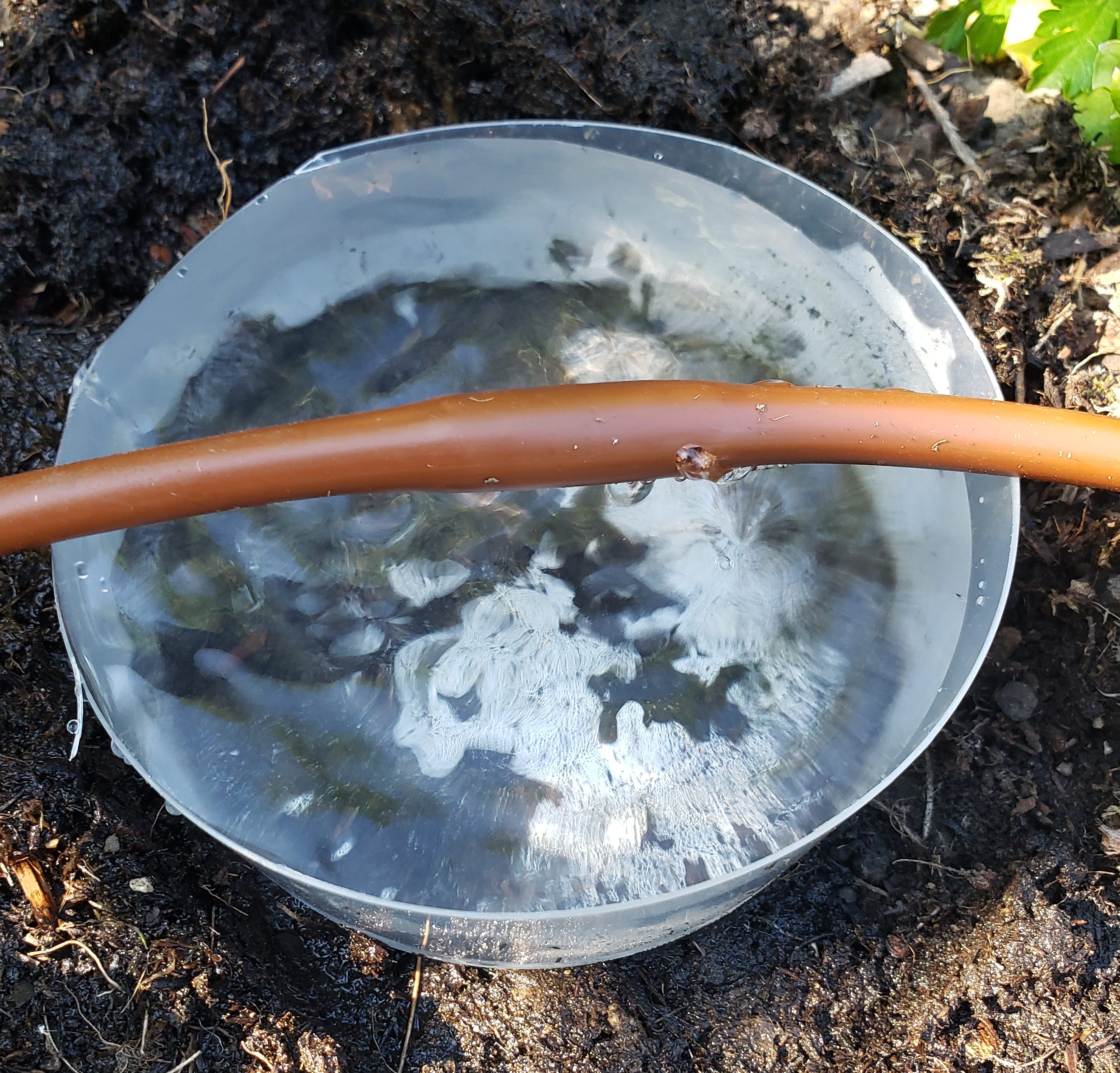 1/4 inch Drip Tubing Flow Rate