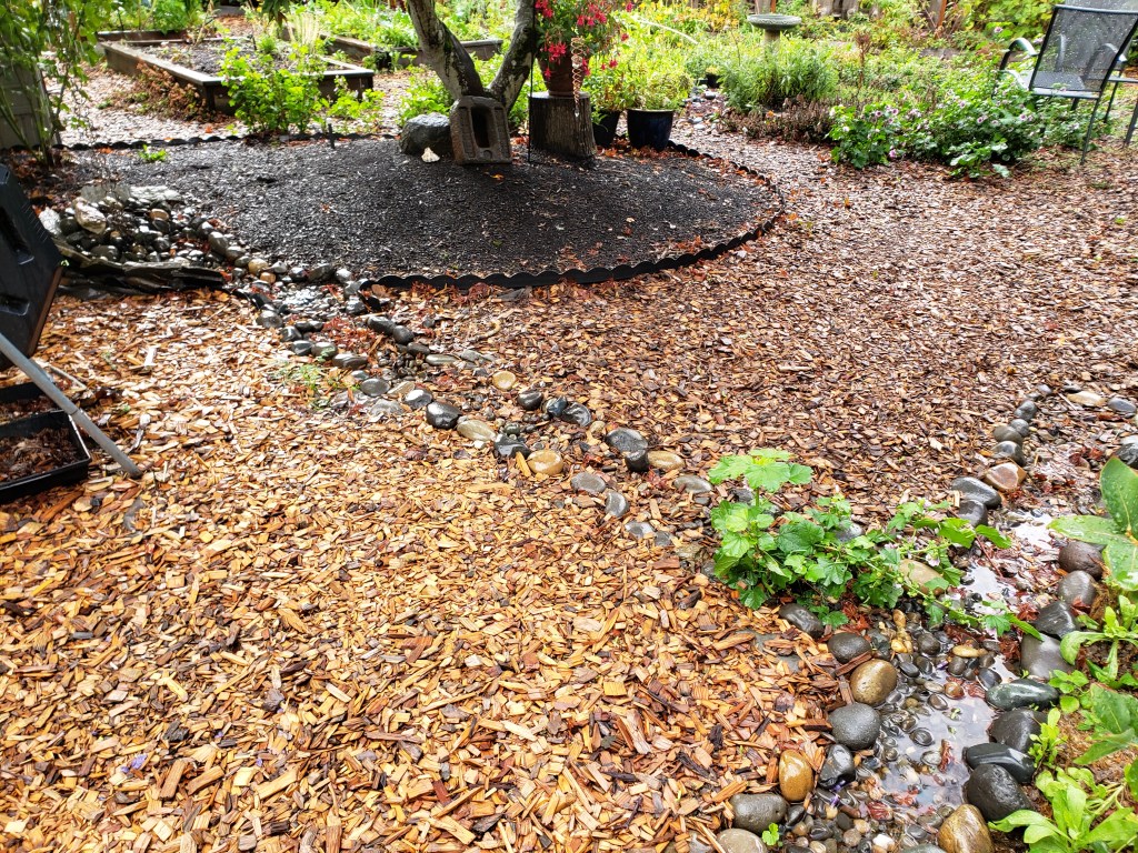 Rain Chain Conveyance Trench to Blueberry Patch
