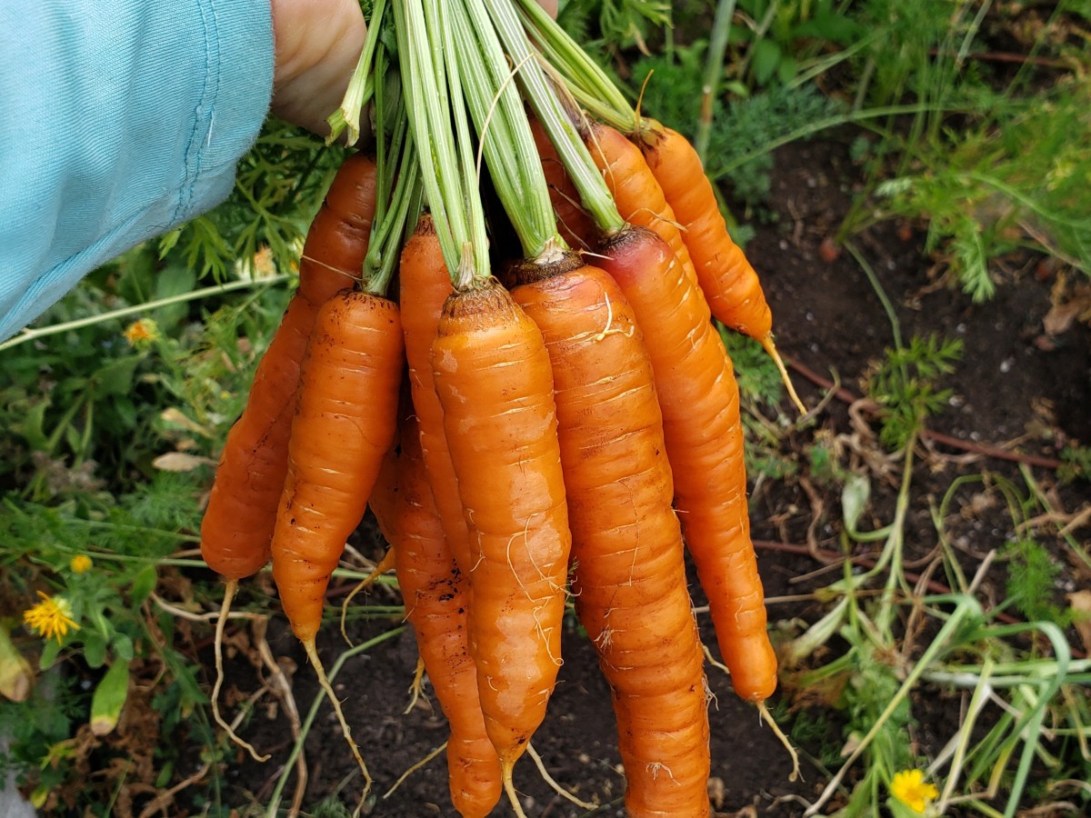 September Garden Calendar