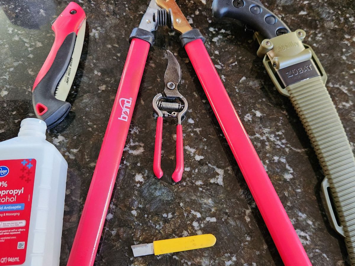 Pruning Guidelines Refresher