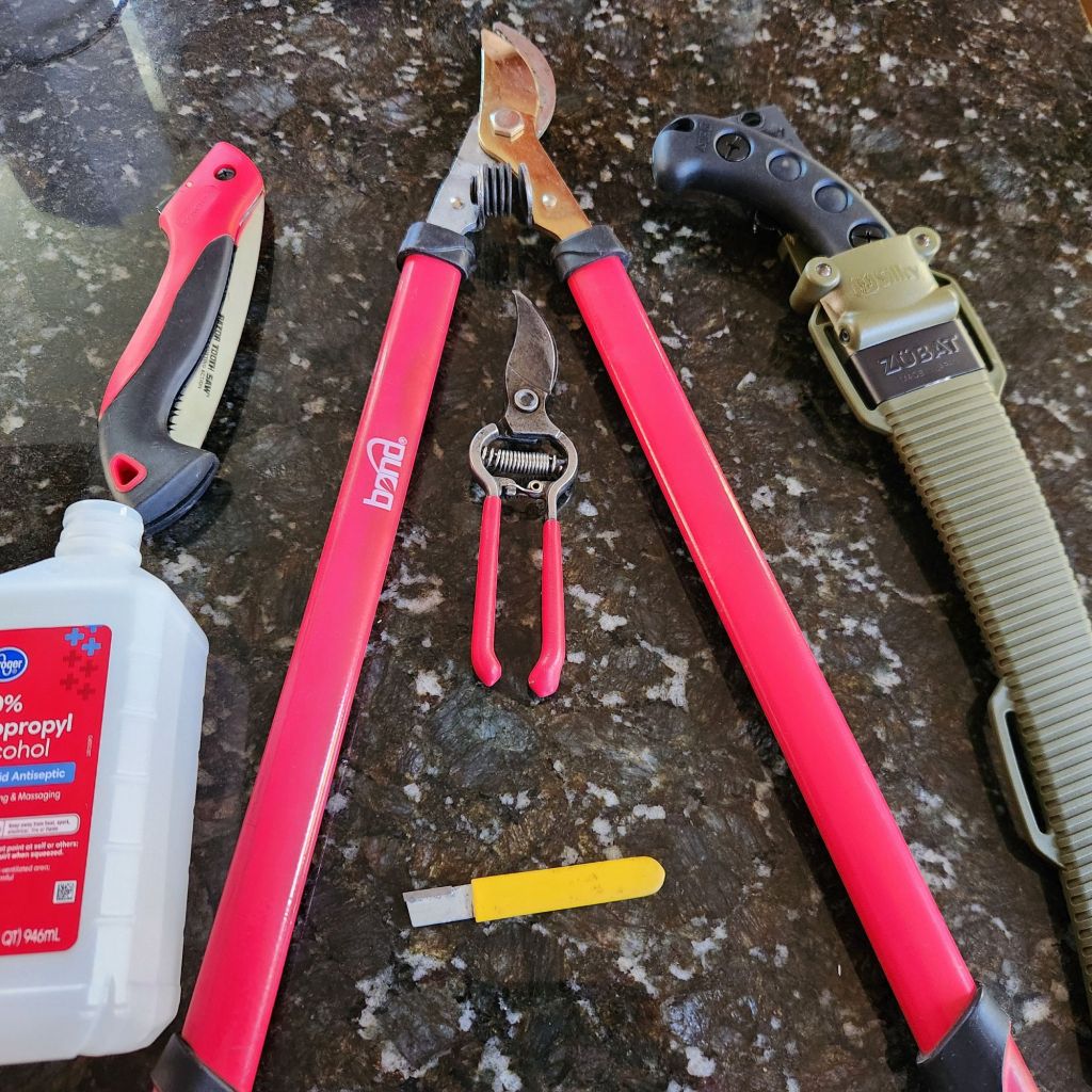 Pruning Tools